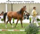 Kenelm Lucky Star