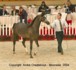 Dbut classe 4 : Girlan-Bey (Pesal x Gracja-bis by Monogramm)