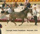 Girlan-Bey (Pesal x Gracja-bis by Monogramm)