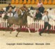 Girlan-Bey (Pesal x Gracja-bis by Monogramm)