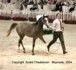 Girlan-Bey (Pesal x Gracja-bis by Monogramm)