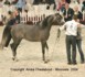 Girlan-Bey (Pesal x Gracja-bis by Monogramm)