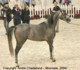 Girlan-Bey (Pesal x Gracja-bis by Monogramm)
