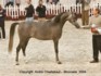 Girlan-Bey (Pesal x Gracja-bis by Monogramm)