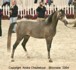 Girlan-Bey (Pesal x Gracja-bis by Monogramm)