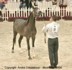 Girlan-Bey (Pesal x Gracja-bis by Monogramm)