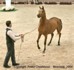 Dbut classe 5 : Mahity EL Jamaal