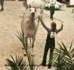 Palmeta (Ecaho x Pilica par Fawor)