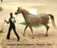 Palmeta (Ecaho x Pilica par Fawor)