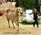 Palmeta (Ecaho x Pilica par Fawor)