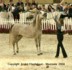 Palmeta (Ecaho x Pilica par Fawor)